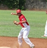 Wellington baseball